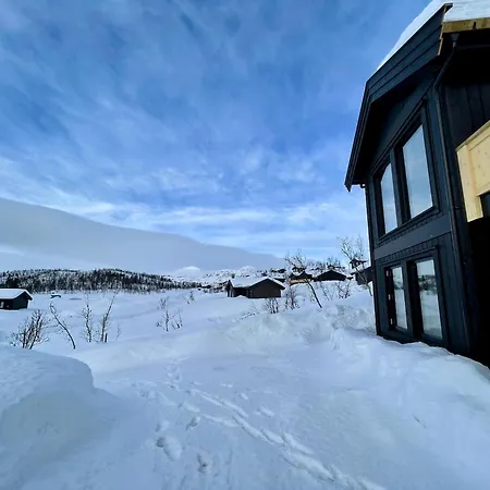 Luxurious Cabin, 5 Bedrooms, Sauna Stunning View * Beitostolen